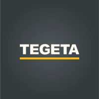 Tegeta Motors